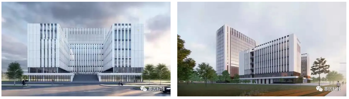 火狐竞技11.png